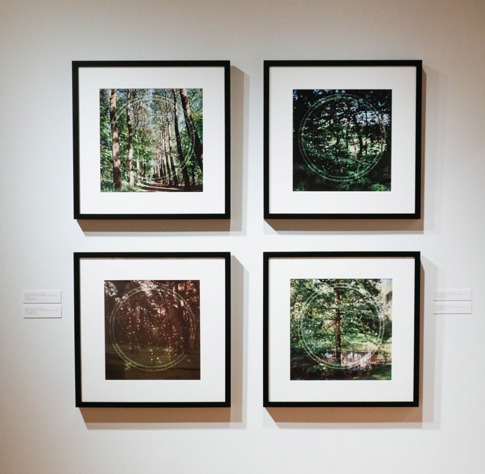 Installation view of Dianne Bos: The Sleeping Green. no man's land 100 years later., 2018