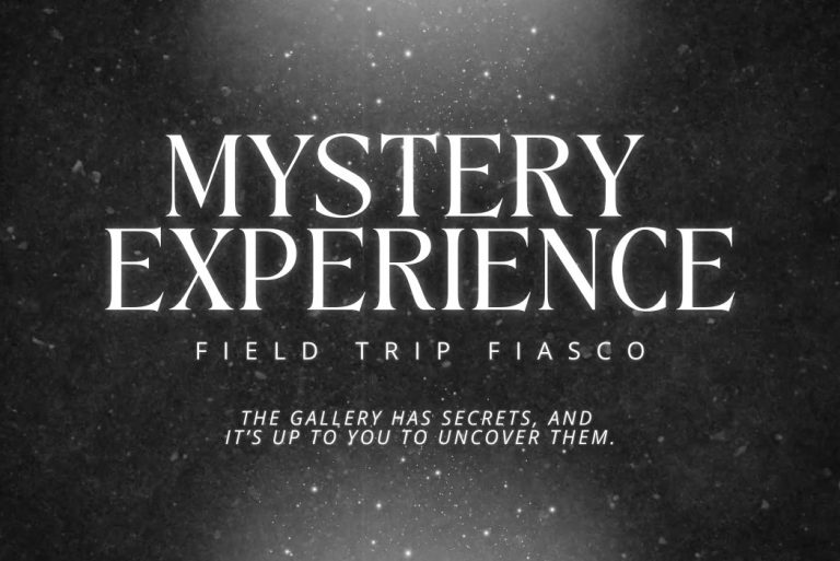 MysteryExperience