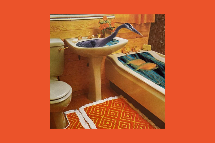 Field Trip with Camilla Gibb: Everyone Can Collage.